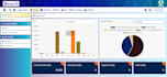 develop a custom business website and web application