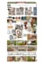 design professional and informative presentation boards