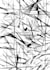 draw an interesting and unique pattern