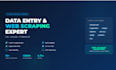 accurate data entry, excel work and web scraping