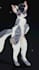 create a custom furry vrchat avatar