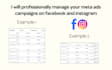 professionally manage your meta ads campaigns on fb and ig