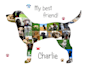 make a photo collage from any shape, number, word, or text