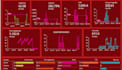 create looker studio , google data studio dashboard and report