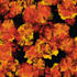 design abstract seamless pattern