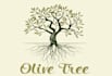 create awesome attractive modern olive tree logo design