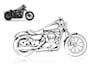 draw best quality vector line art 24 hours
