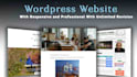 do responsive, professional website with unlimited revision