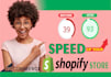 build you a fully functional dropshipping shopify website
