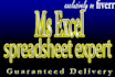 be your proficient data entry virtual assistant