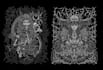 create dark horror metal band t shirt artwork for merch