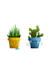 create a character plant illustration