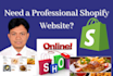 build shopify dropshipping store or website