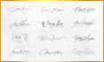 design a signature logo or watermark