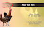 create 4 different business card design