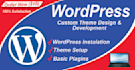seo professionally customizes your wordpress theme