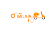 do design professional logo