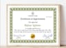 design professional certificate and diploma template