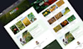 do responsive website design using  HTML, CSS, javascript