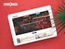 provide a premium  website for your company