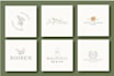 design stunning bohemian and botanical boho logo design