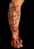 design a custom tattoo for you by golden rock tattoo
