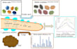 draw best graphical abstracts as per journal standards