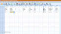 assist you in data entry and analysis on spss