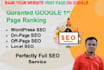 do complete wordpress onpage SEO optimization for google top rankings