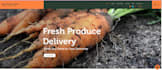 design wix website,wix website redesign, wix ecommerce, wix store, landing page