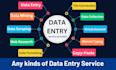 do all kind of data entry for your business