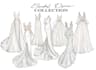 draw gorgeous wedding dress and bridal illustration