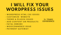 fix wordpress errors issues and customize wordpress theme