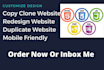 copy, clone or duplicate any website professionally