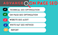 do onpage and technical SEO with wordpress