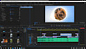 professionally edit stitch 360 VR videos make reels montages