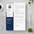 design professional resume CV writing and editing