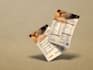do product poster, dl flyer, roll up banner, social media poster