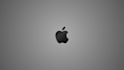 create elegant logo reveal animation