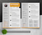 get you the job of your dreams through skilled cv,resume,cover letter writing