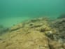 provide underwater photography and videography as requested