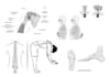 draw detailed medical and scientific biology illustrations