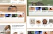 do figma to wordpress, landing page design, website rebuild, woocommerce website