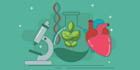 write articles on biology, plant and nutrition sciences