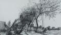 draw pencil sketches drawings and anything you want