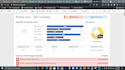audit website and competitor analysis report with strategies