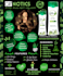 create a professional logo, flyer, poster, ad copy
