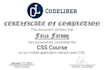 create CSS style and animation