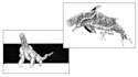 draw black and white creature design