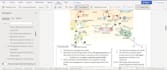 provide cell structure and function lecture notes